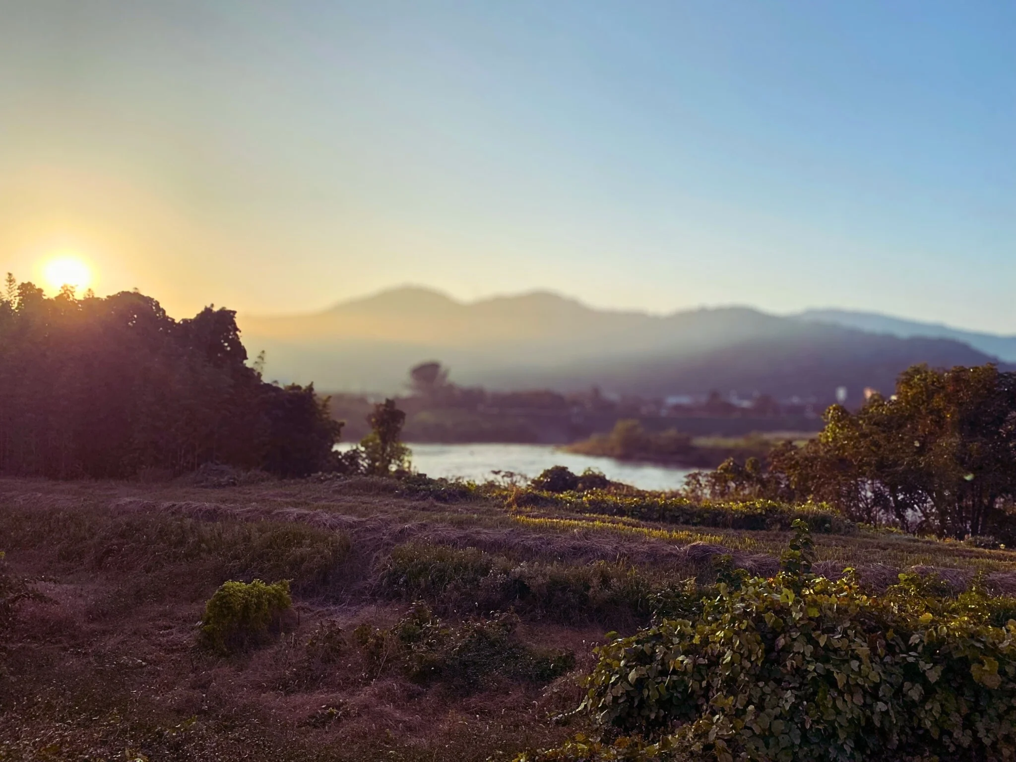 吉井川に昇る冬の朝日。朝の散歩で見た柔らかな光と山並みの景色。