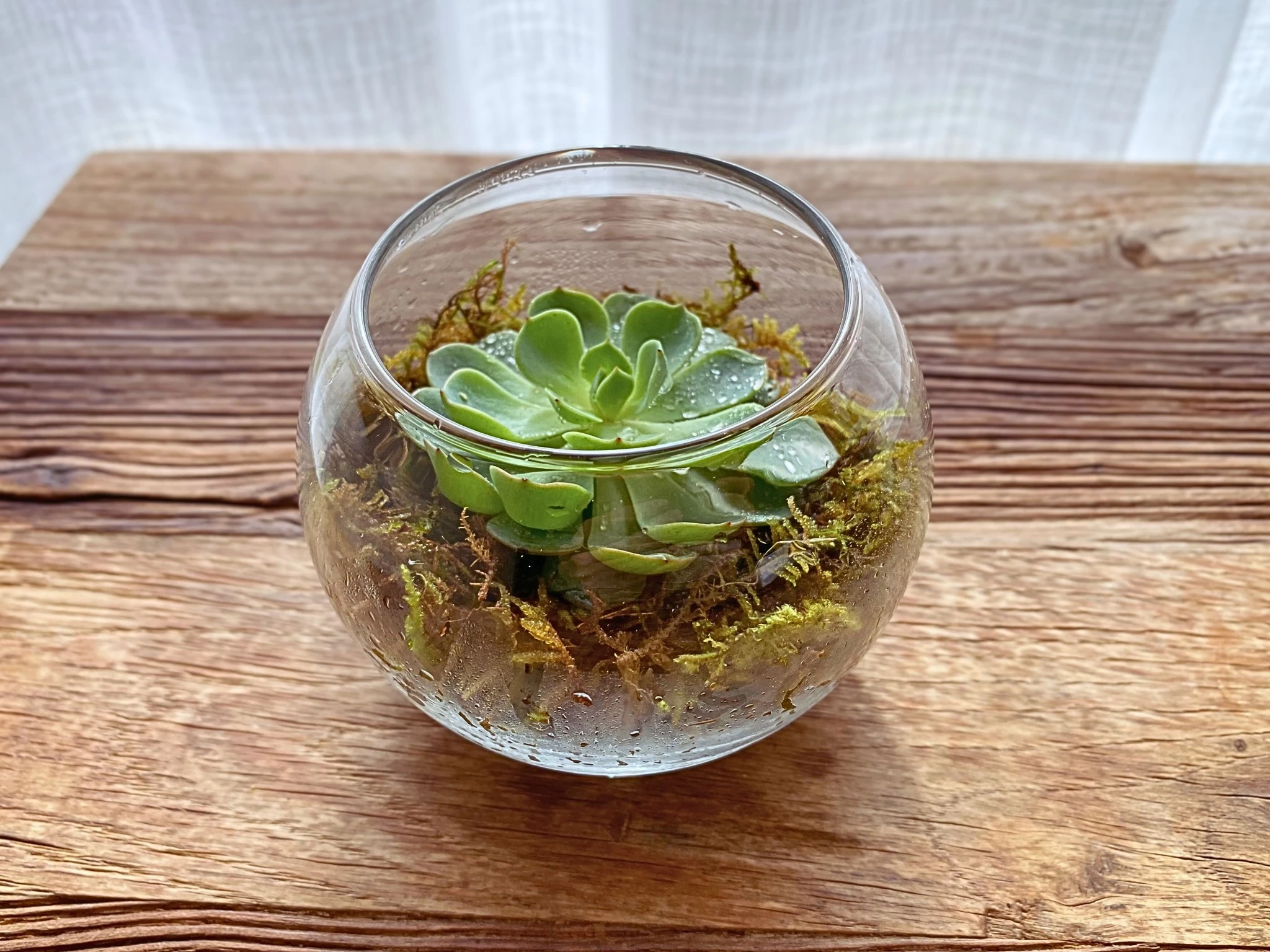 更年期ケア / 自律神経 / やさしい暮らし