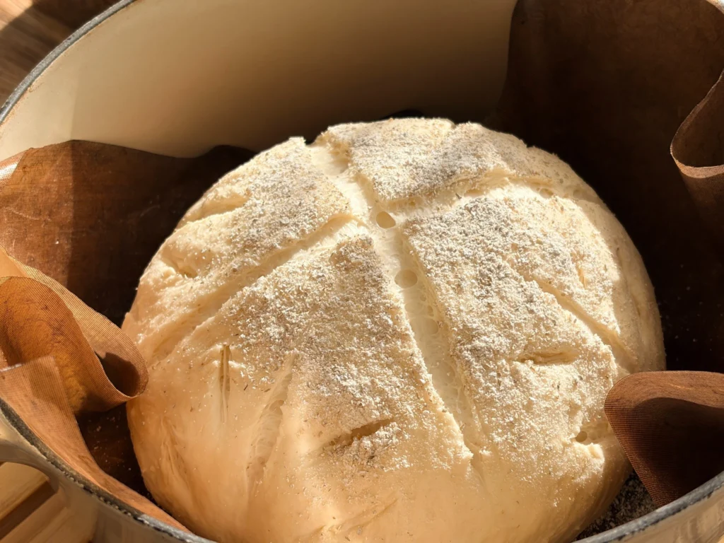 24cmのル・クルーゼの中で発酵が終わったパンに模様のようなクープ